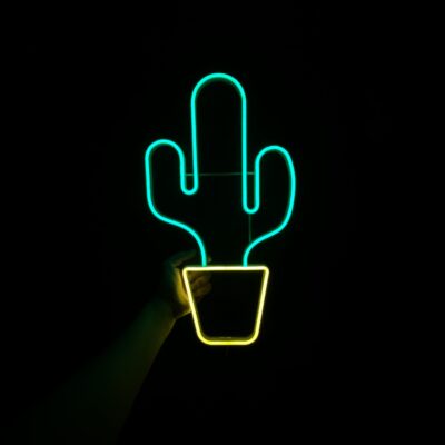 Neon LED cactus in a pot