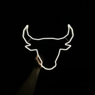 Neon LED bull