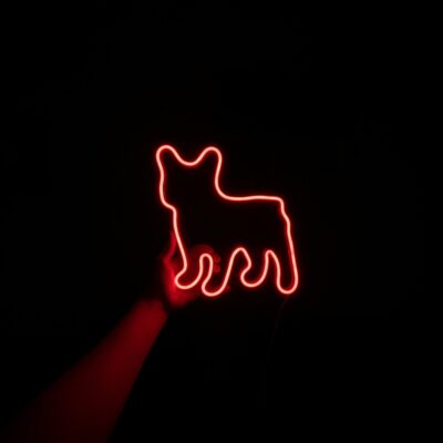 Neon LED French bulldog dog
