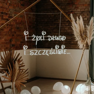 neon led and they lived happily ever after