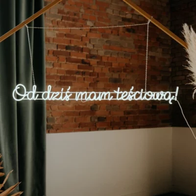 neon led as of today I have a mother-in-law